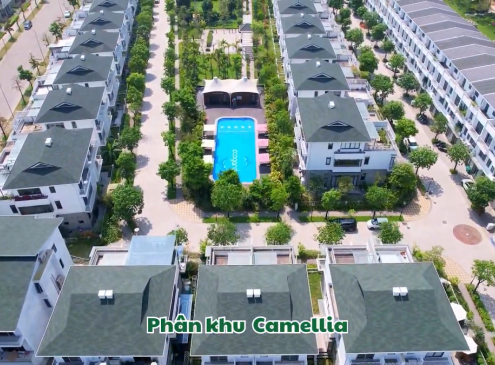 Ecogarden của những ngày đầu hè 2024